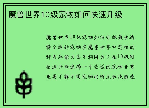 魔兽世界10级宠物如何快速升级